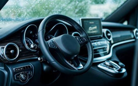 Vito Mixto 114 CDI Kombi Arızaları: Deneyimler