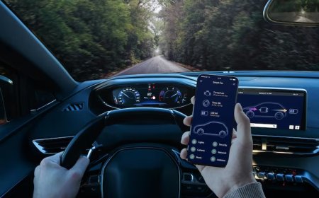 Tourneo Custom 2.2 TDCi 300 L Trend Arızaları: Kronik Sorunları