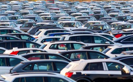 Volkswagen Tiguan 1.6 TDI Arızaları: Şikayetler