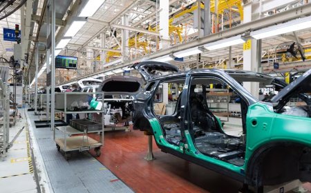 Transit Custom 320 L Trend Arızaları: Kronik Sorunları