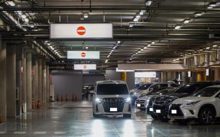 Volkswagen Passat Variant 2.0 Arızaları: Deneyimler