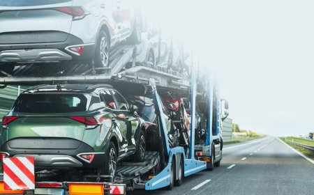 Z Rot Sesi: Çukurlarda Lok Lok Sesi