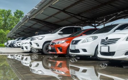 Zincir Bakımı ve Yağlama: Hangi Sprey Kullanılmalı?