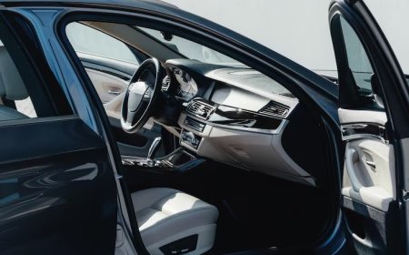 Çukura Girince Gelen Lok Lok Sesi: Rotil mi Z Rot mu?