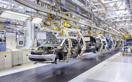 İhtiyari Mali Mesuliyet (İMM) Nedir? Neden Yüksek Olmalı?