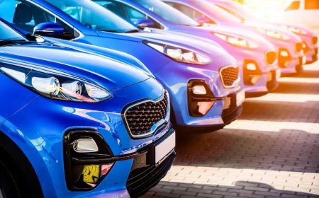 Çeki Halatı Çelik mi Halat mı Olmalı?