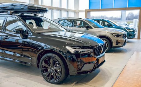 Şase Numarasından Parça Sorgulama ve Donanım Listesi: Aracının Gizli Kimliğini Keşfet!