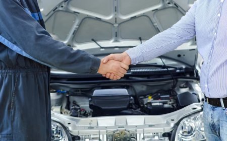 Şase Numarası Okunmuyor Ne Yapmalıyım?