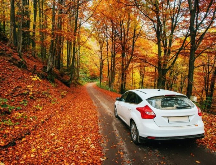 Voyah Free High Plus Arızaları: Kullanıcı Şikayetleri