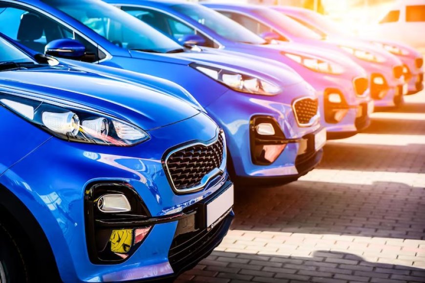 Çeki Halatı Çelik mi Halat mı Olmalı?